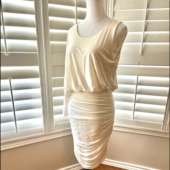BCBGMaxAzria Venus Dress, Size L - Picture 3 of 14